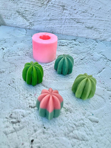 cactus silicone mold