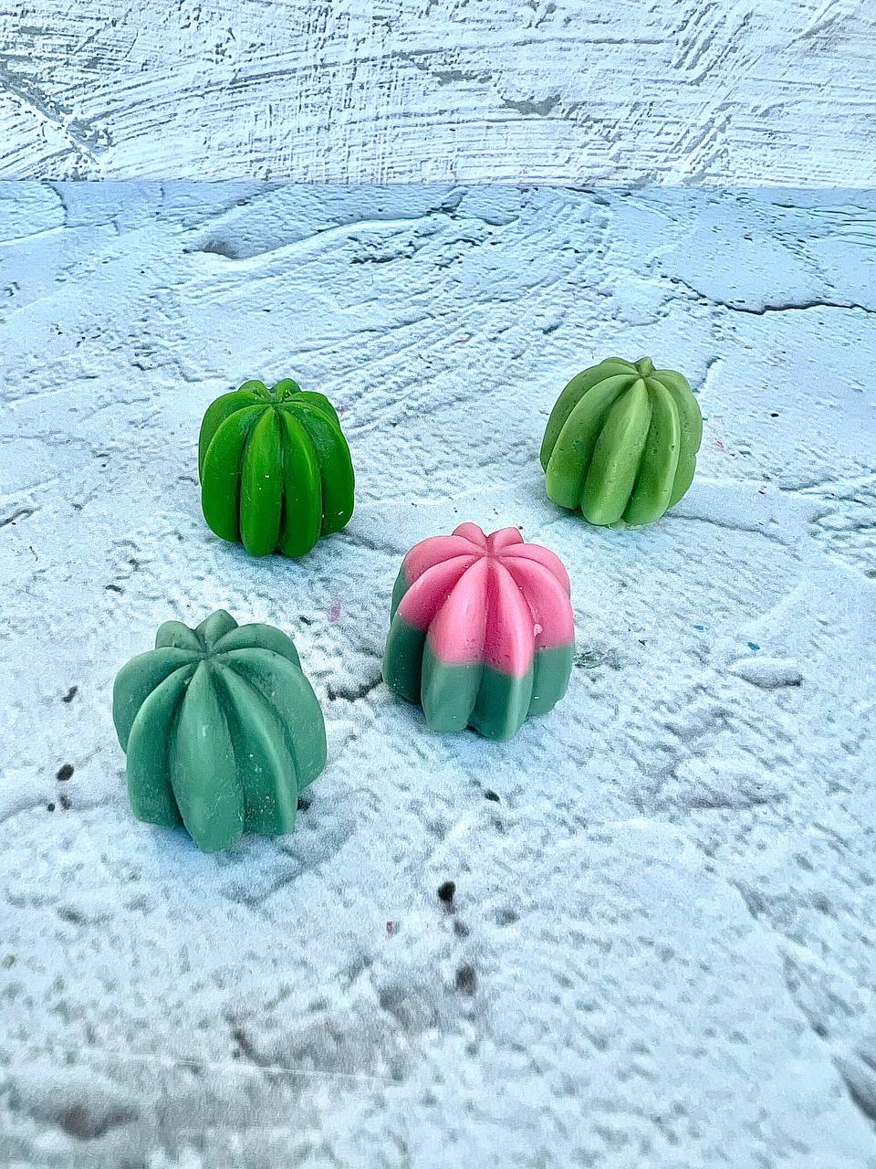 cactus silicone mold