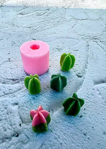 cactus silicone mold