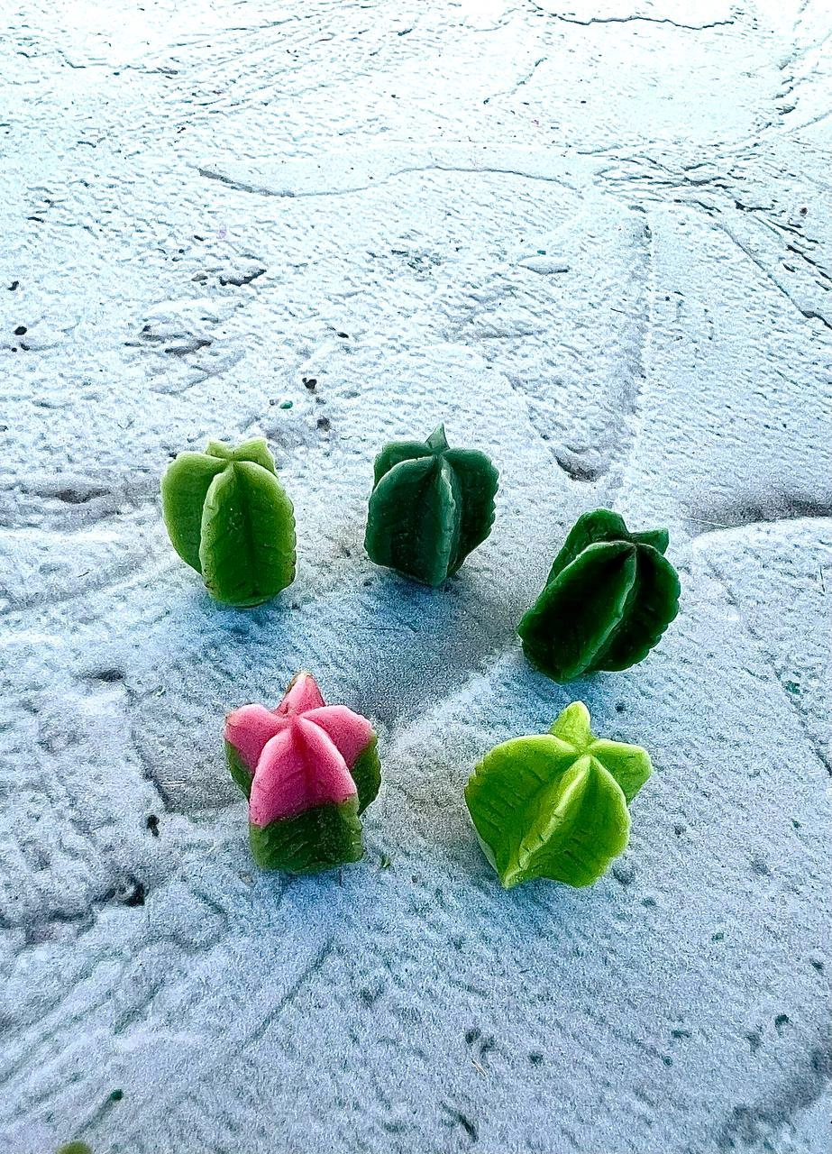 cactus silicone mold