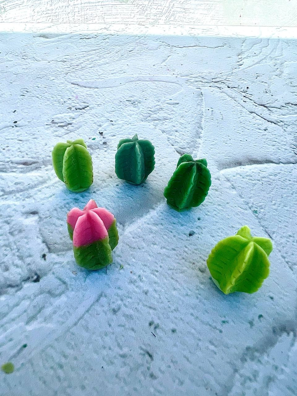 cactus silicone mold