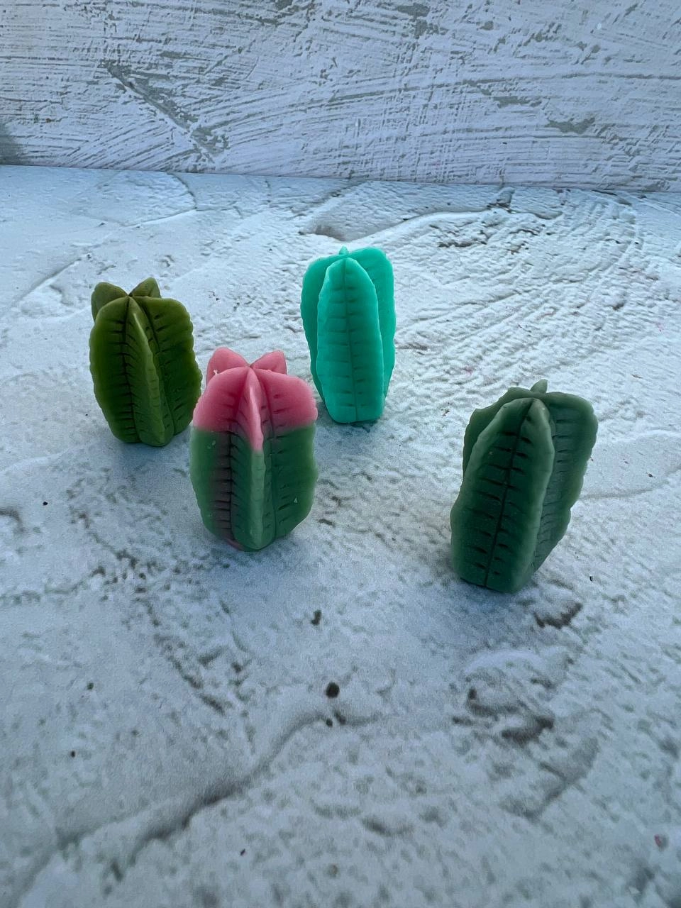 cactus silicone mold