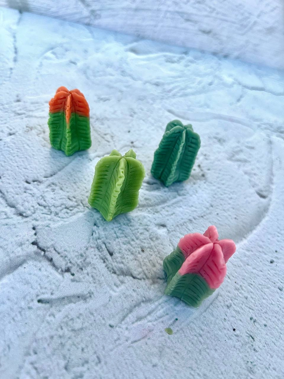 cactus silicone mold