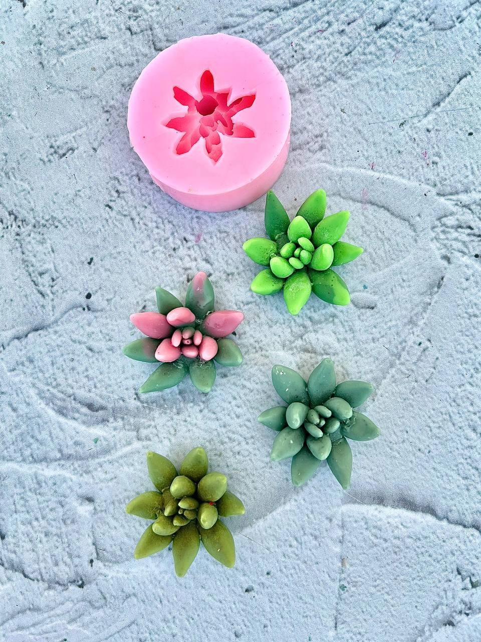 cactus silicone mold