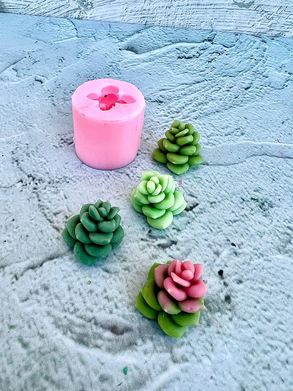 cactus silicone mold