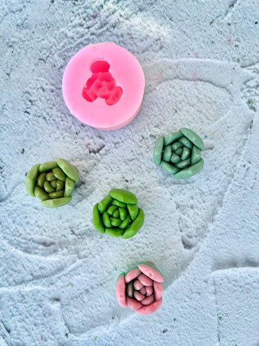 cactus silicone mold