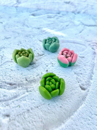 cactus silicone mold