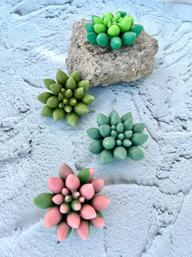 cactus silicone mold