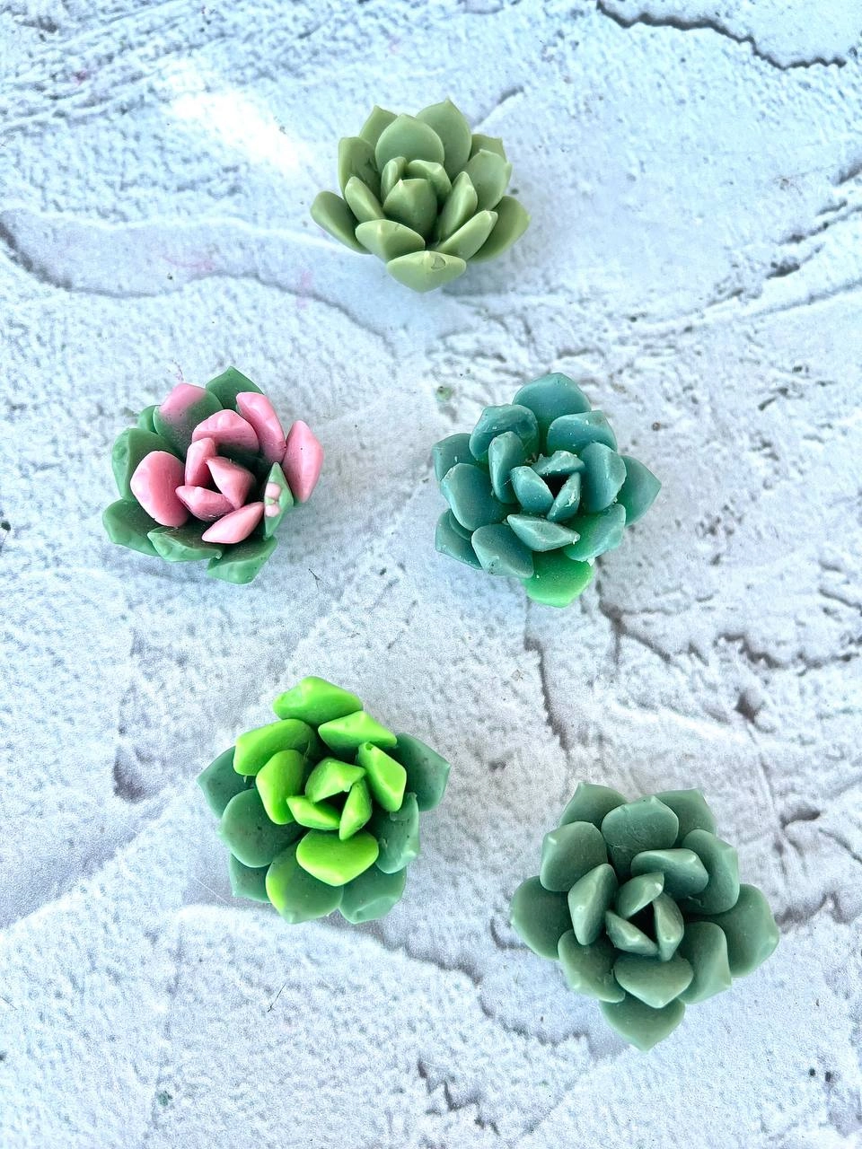 cactus silicone mold