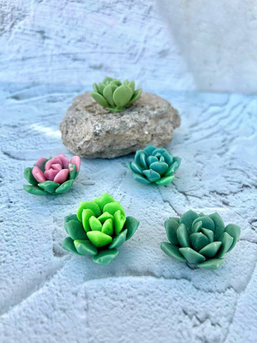 cactus silicone mold