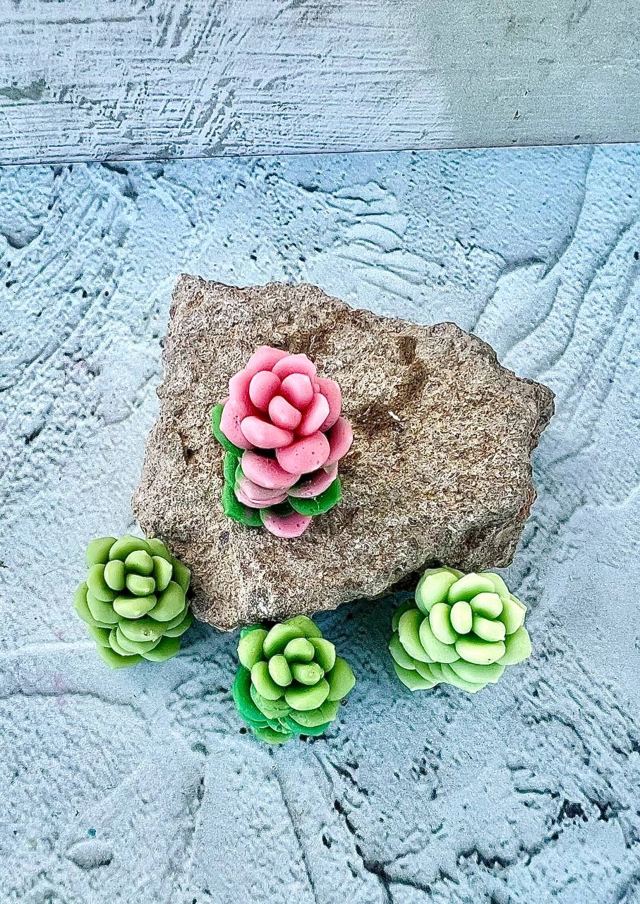 cactus silicone mold