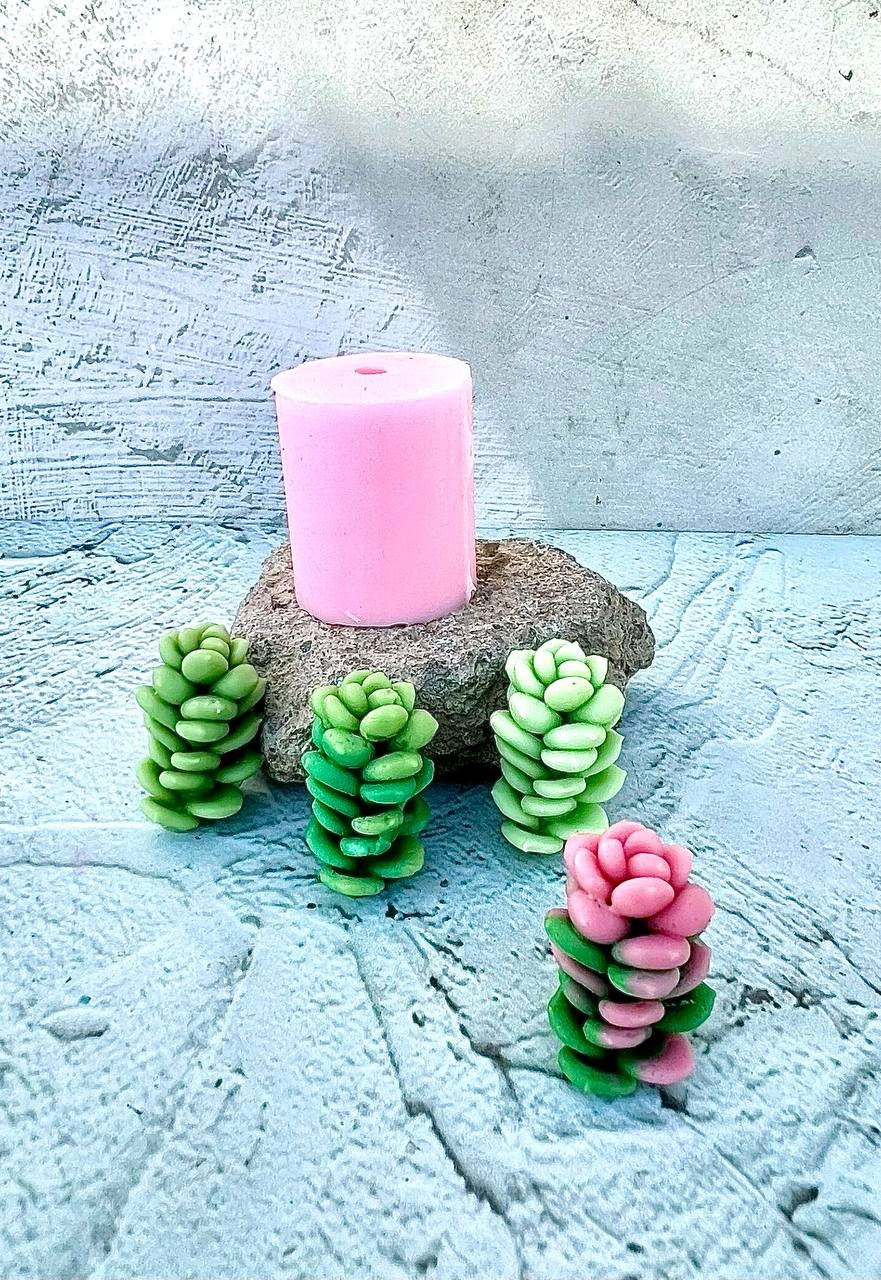 cactus silicone mold