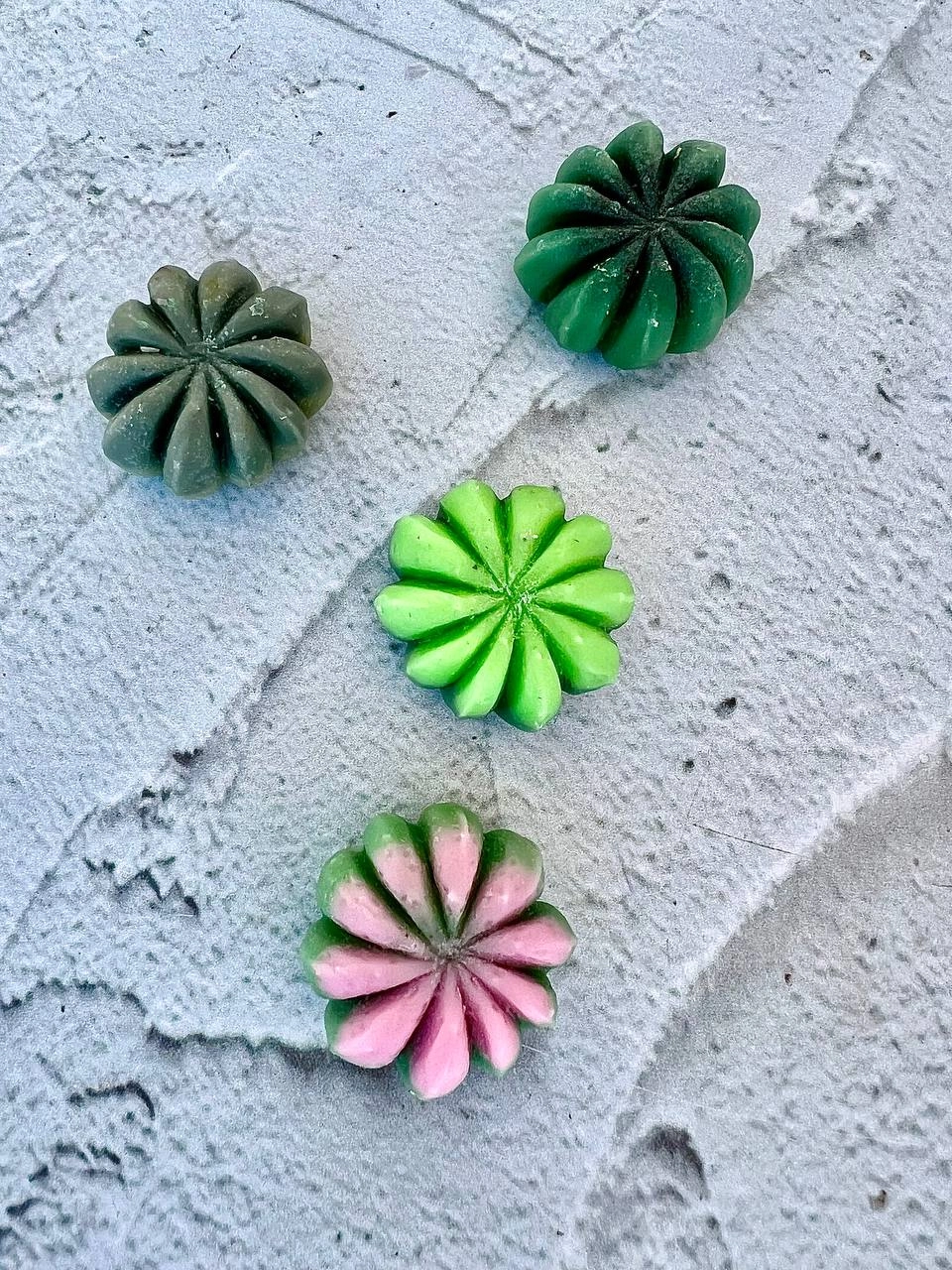 cactus silicone mold