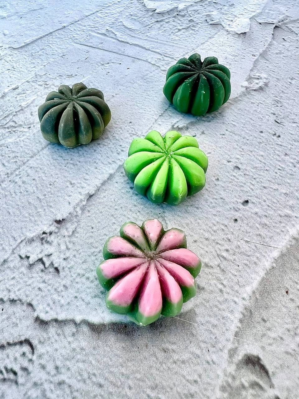 cactus silicone mold
