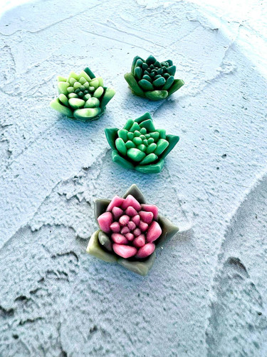 cactus silicone mold
