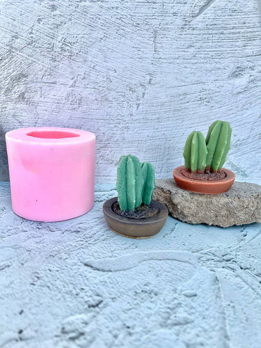 قالب سیلیکونی کاکتوس با گلدان