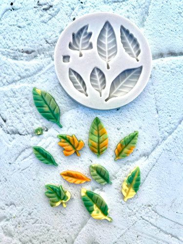 قالب سیلیکونی 6 برگ