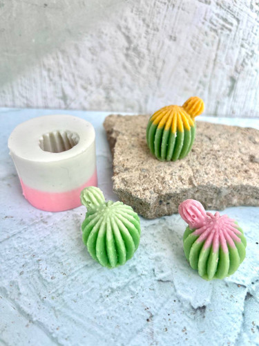 قالب سیلیکونی کاکتوس