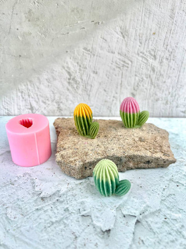 قالب سیلیکونی کاکتوس