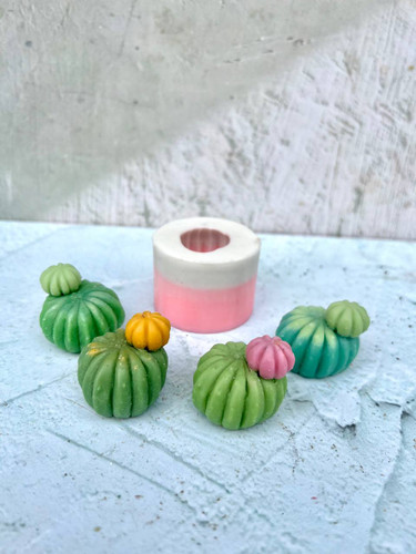 قالب سیلیکونی کاکتوس