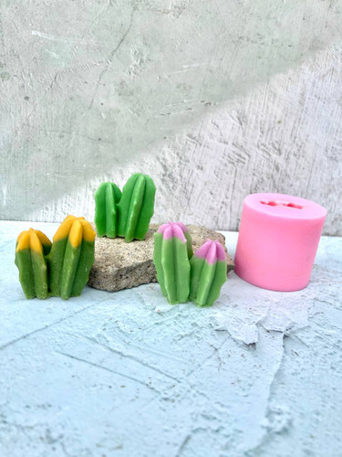 قالب سیلیکونی کاکتوس