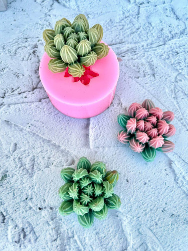 قالب سیلیکونی کاکتوس