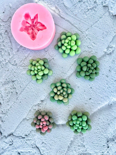 قالب سیلیکونی کاکتوس