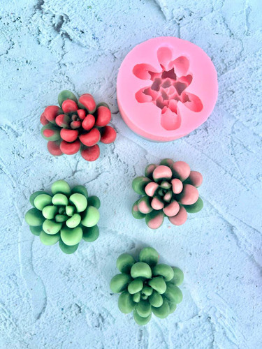 قالب سیلیکونی کاکتوس