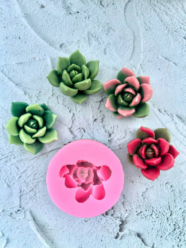 قالب سیلیکونی کاکتوس