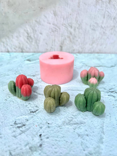 قالب سیلیکونی کاکتوس