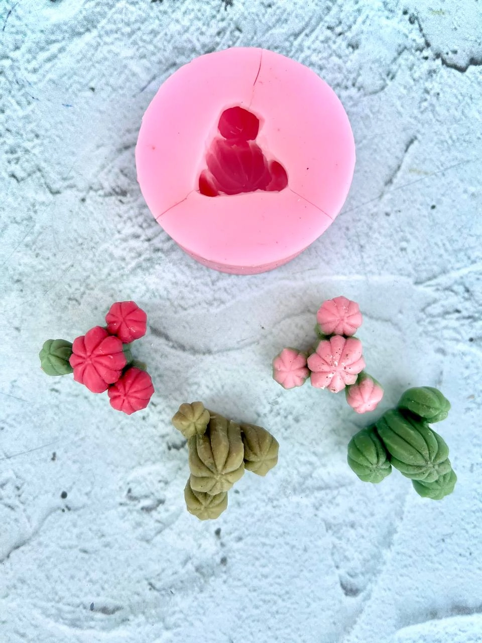 قالب سیلیکونی کاکتوس