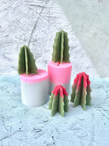 قالب سیلیکونی کاکتوس