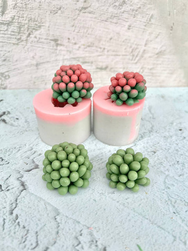 قالب سیلیکونی ساکولنت توپی