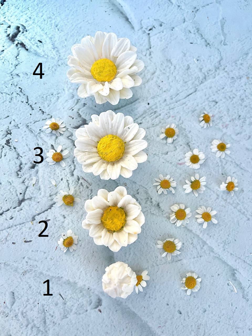 قالب سیلیکونی ست بابونه سه بعدی
