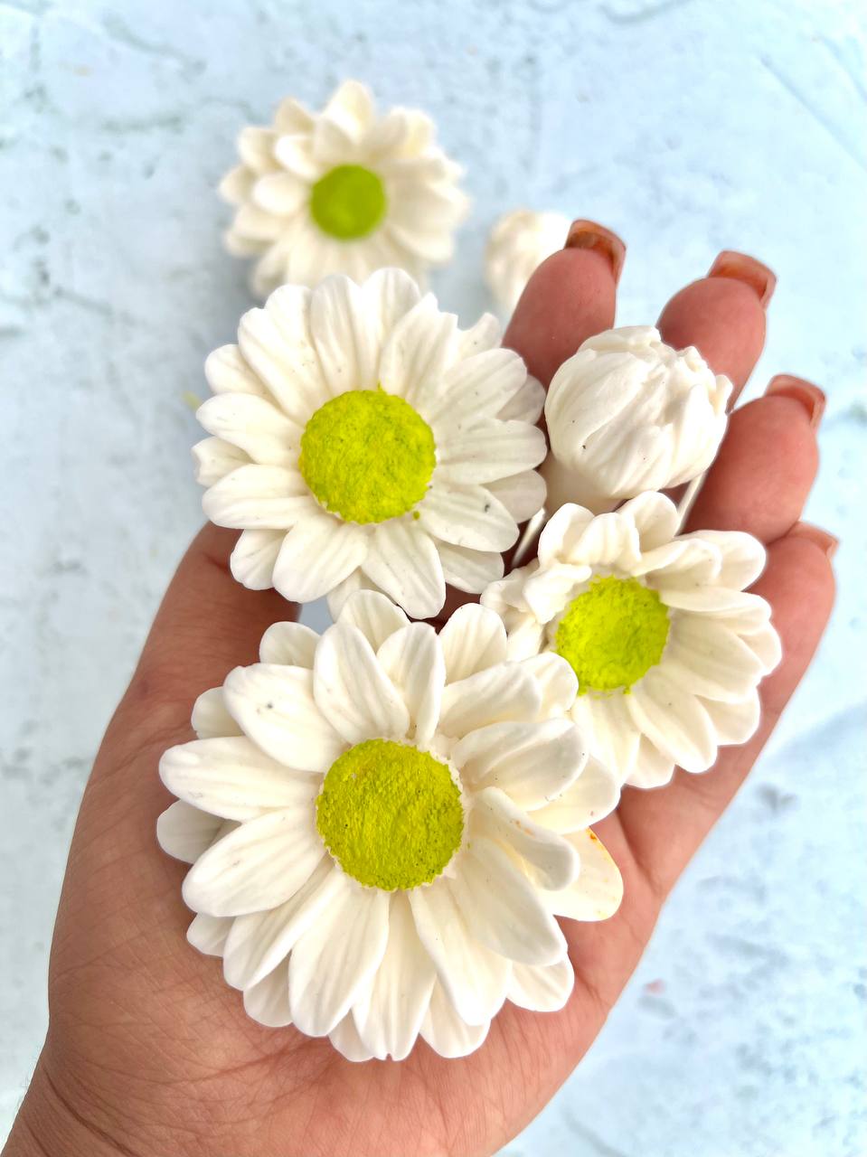 قالب سیلیکونی ست بابونه سه بعدی