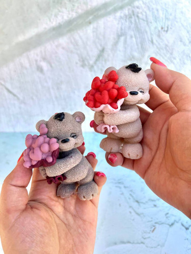 قالب سیلیکونی تدی