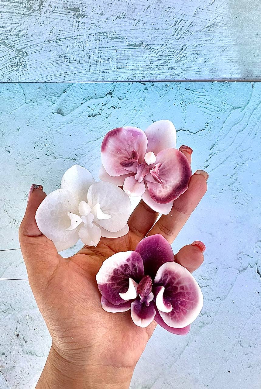 قالب سیلیکونی ارکیده ژورنالی