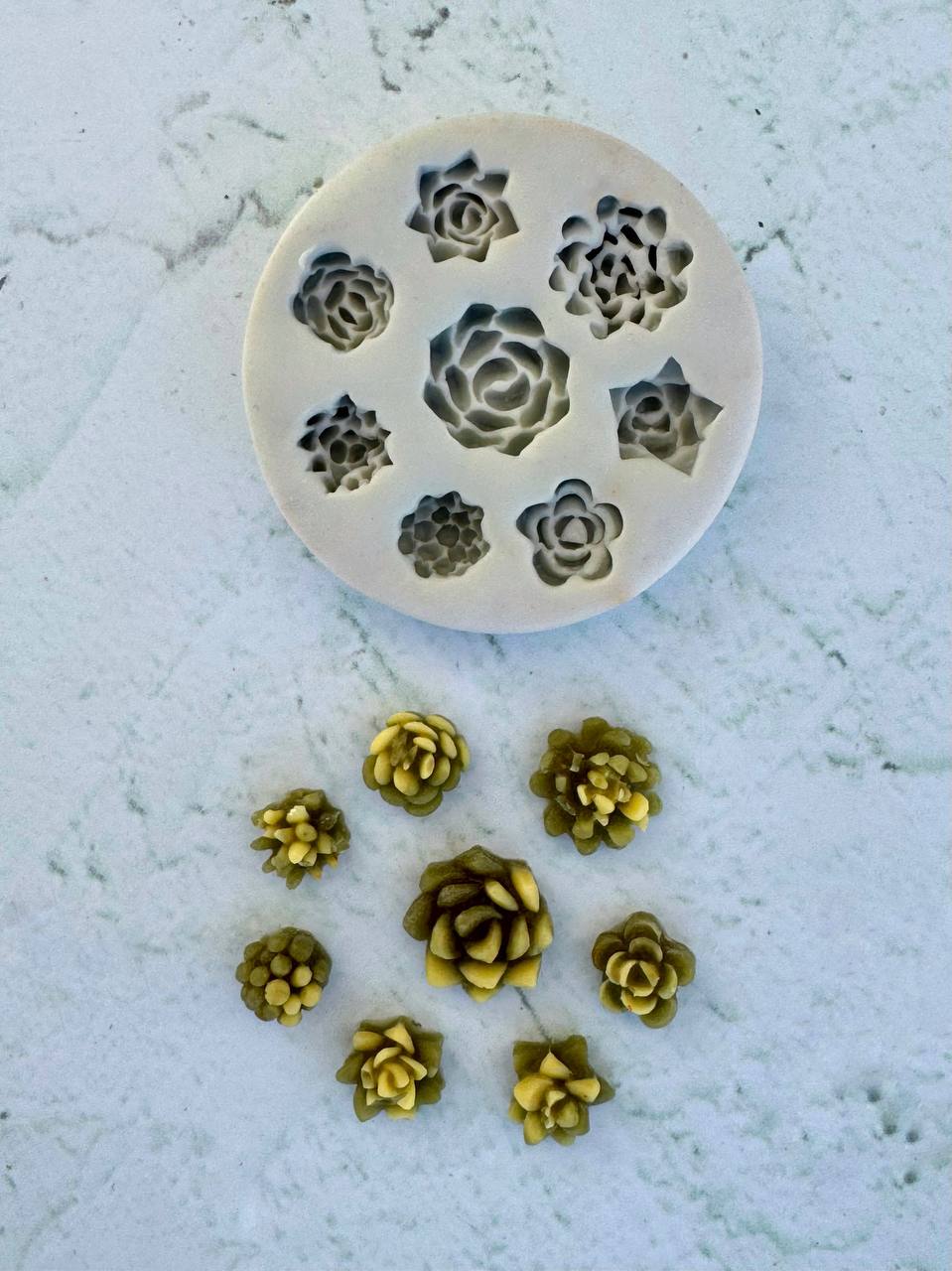 قالب سیلیکونی 8کاکتوس مینی