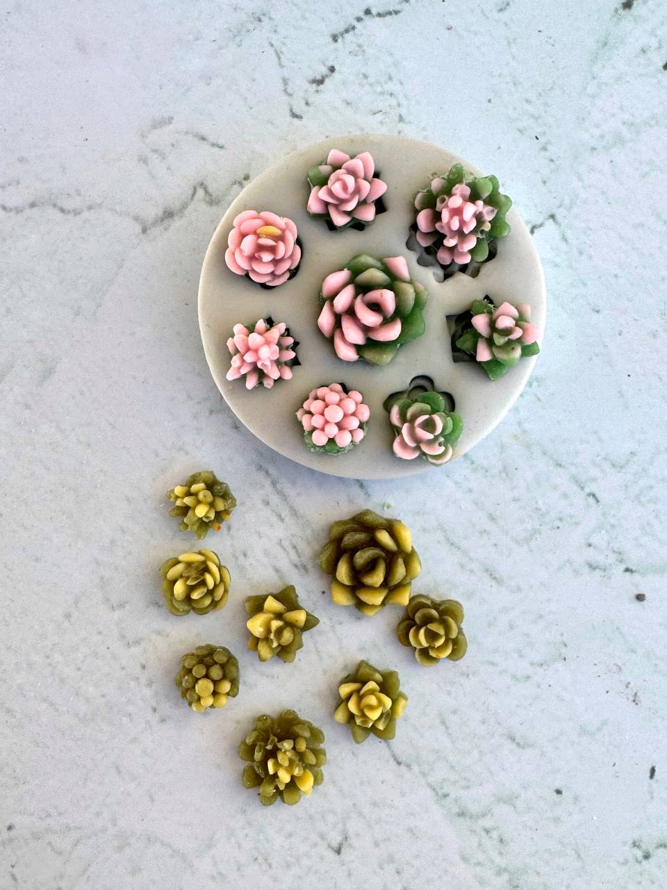 قالب سیلیکونی 8کاکتوس مینی