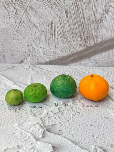 قالب سیلیکونی نارنگی کامل